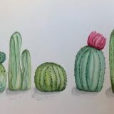 #0141 - Cacti